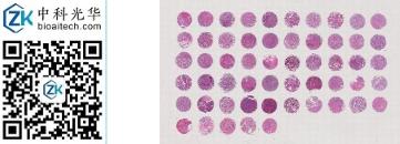 中科光华-F551101a