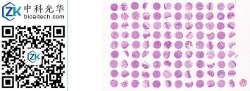 中科光华-HN108Oc01