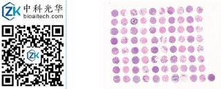 中科光华-F080Br01