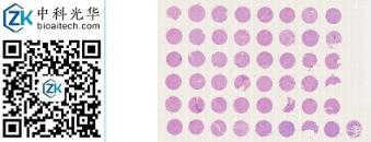 中科光华-D049Lv01