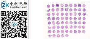 中科光华-M068Pr01