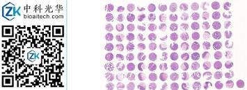 中科光华-D108Re01