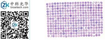 中科光华-F307Ov01