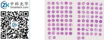 中科光华-D100Co03