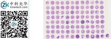 中科光华-D097Pa01S