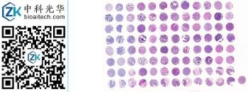 中科光华-X096Mc08