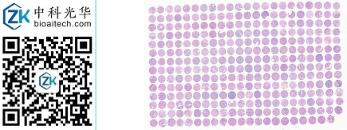 中科光华-U307Ki01