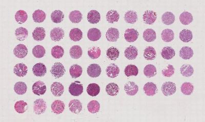 中科光华F551101a