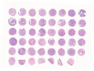 中科光华F047Ce01