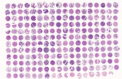 中科光华U215Bl01