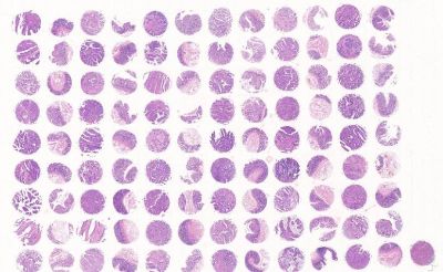 中科光华D108Re01